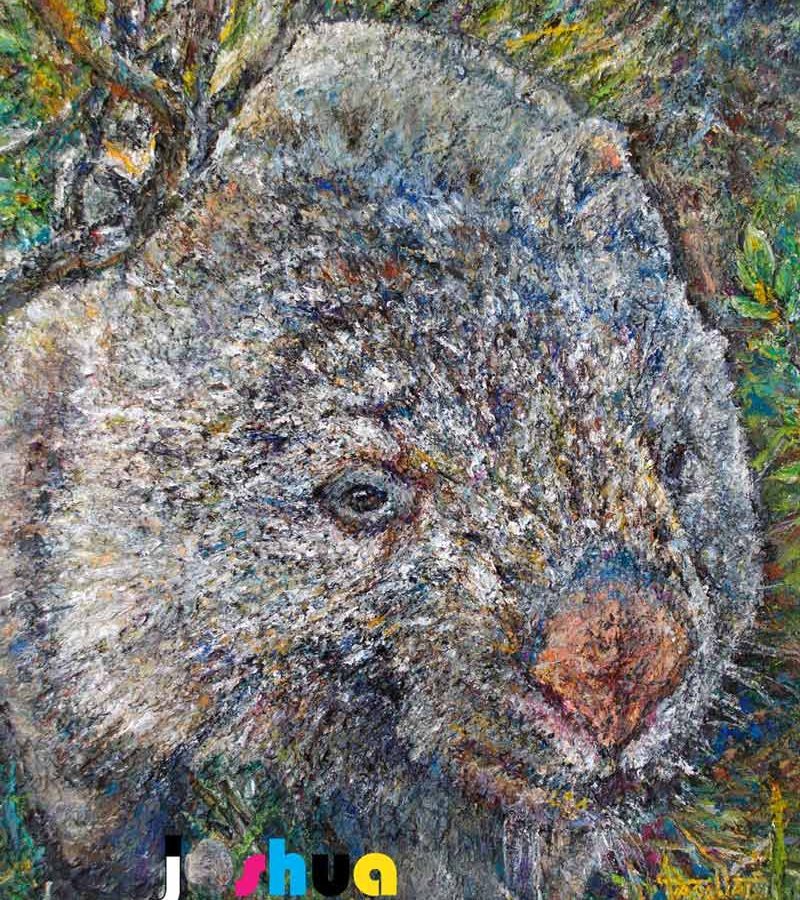 Wombat, an oil painting, "Harry 13" by Josh De Pasquale