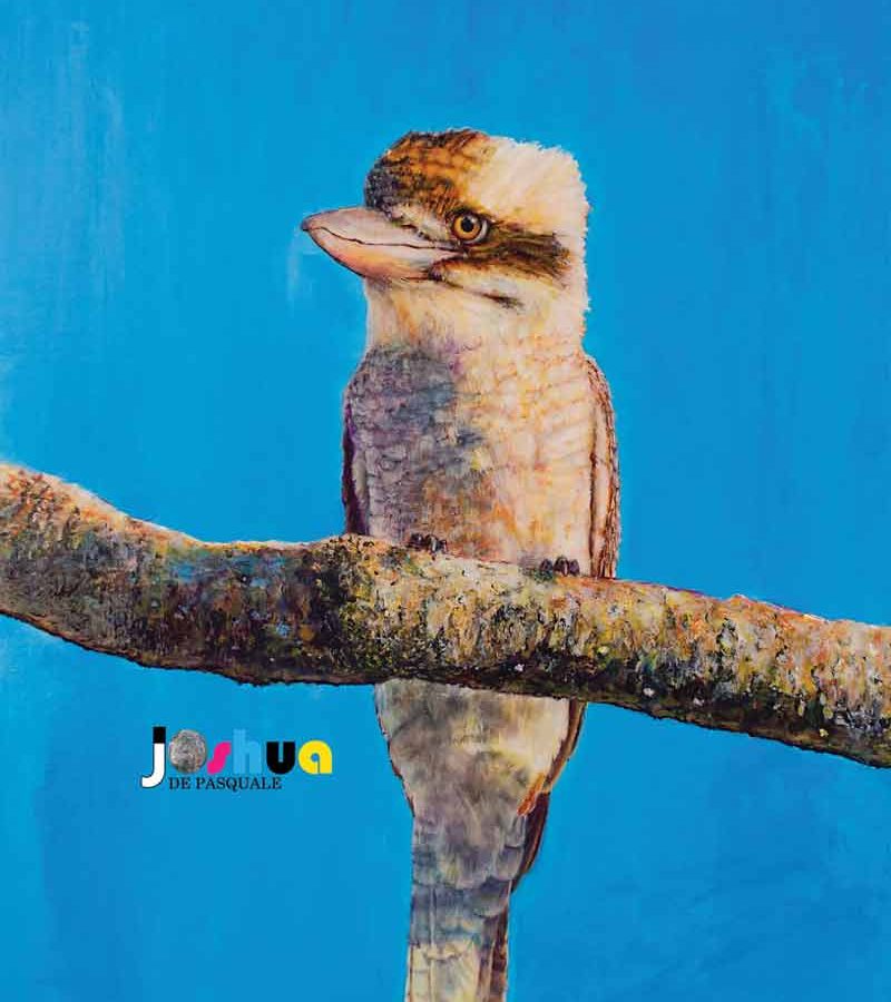 Kookaburra 2020 by Josh De Pasquale